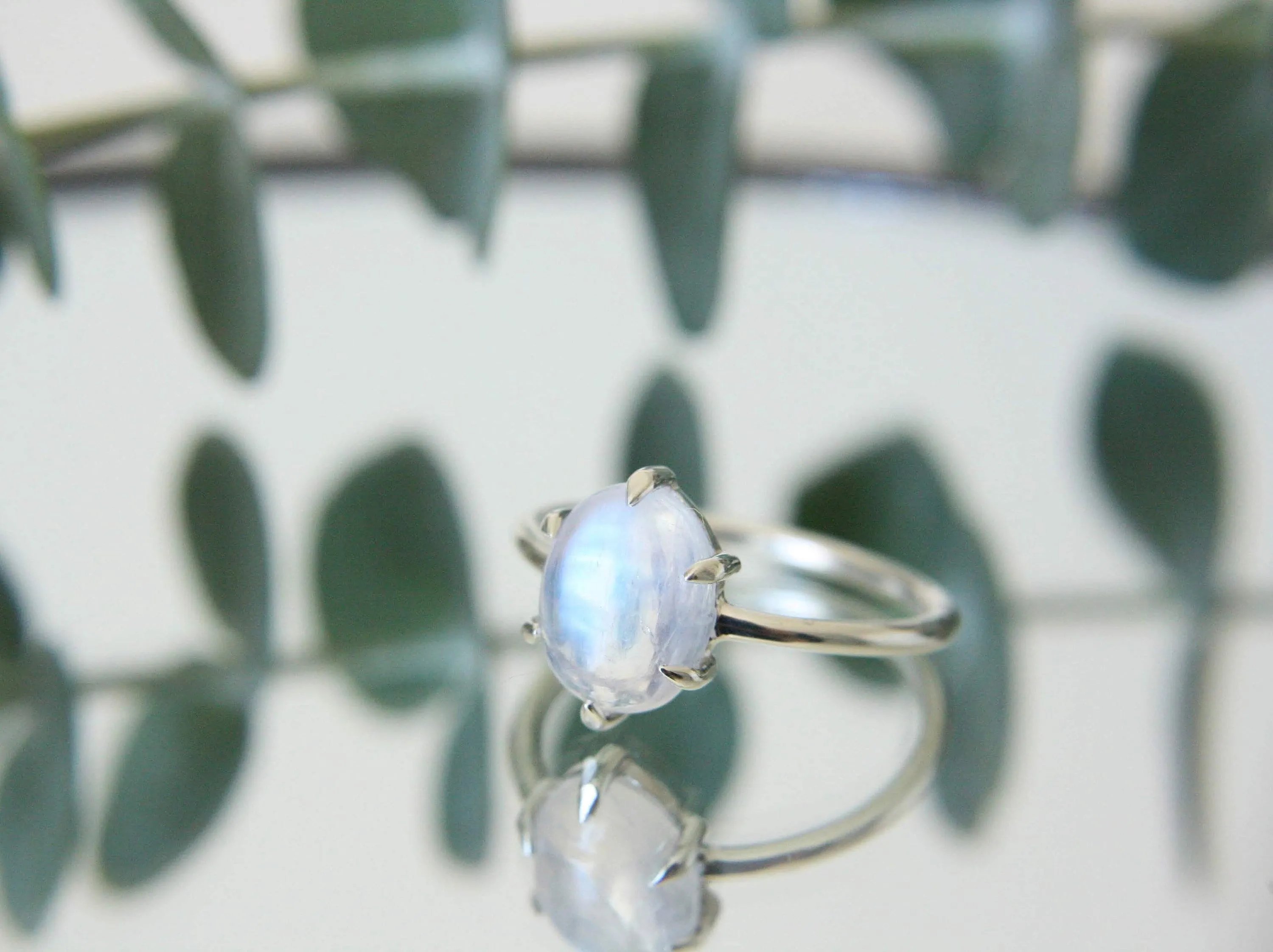 6 Prong Moonstone Ring