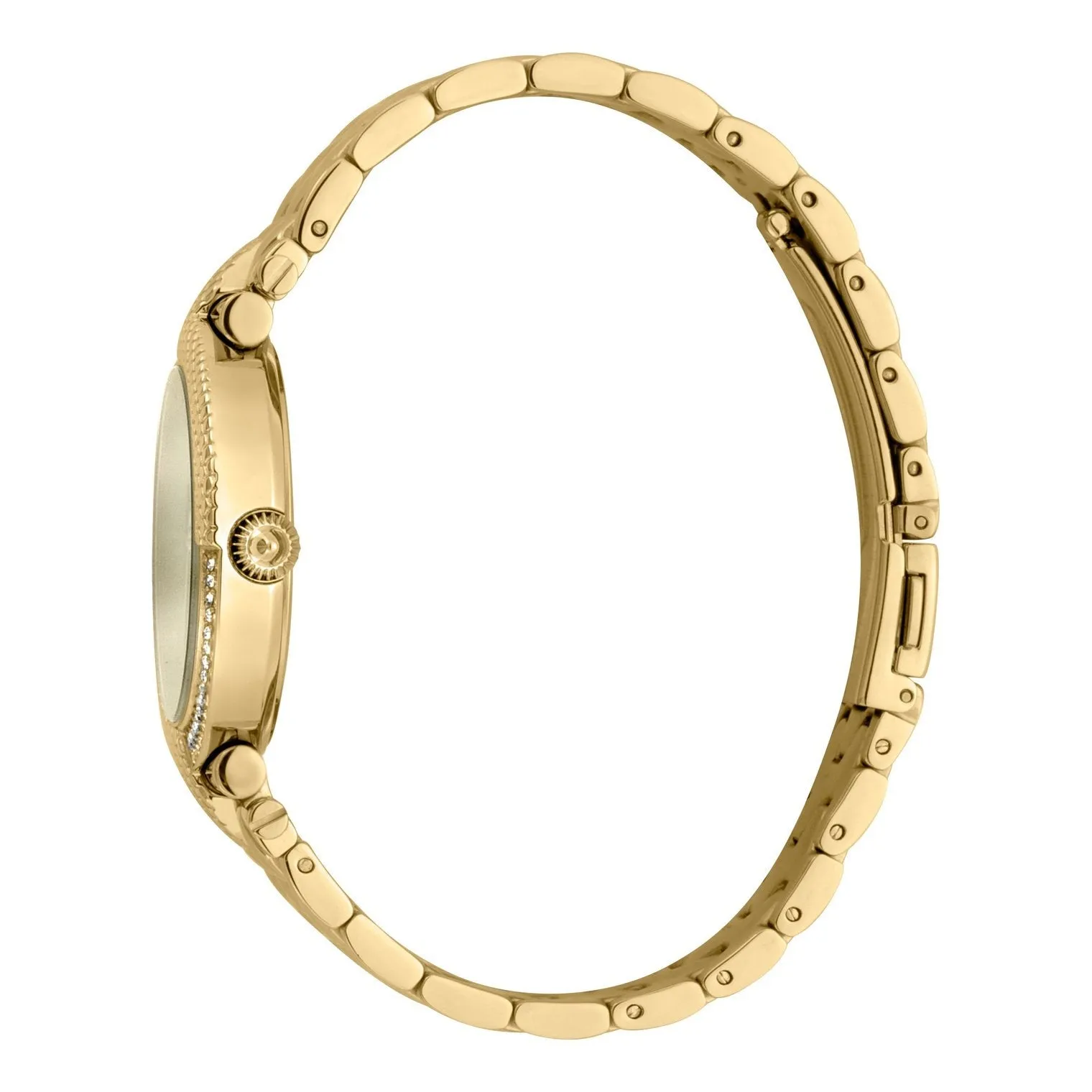 Ladies Animalier Watch (JC1L105M0075)