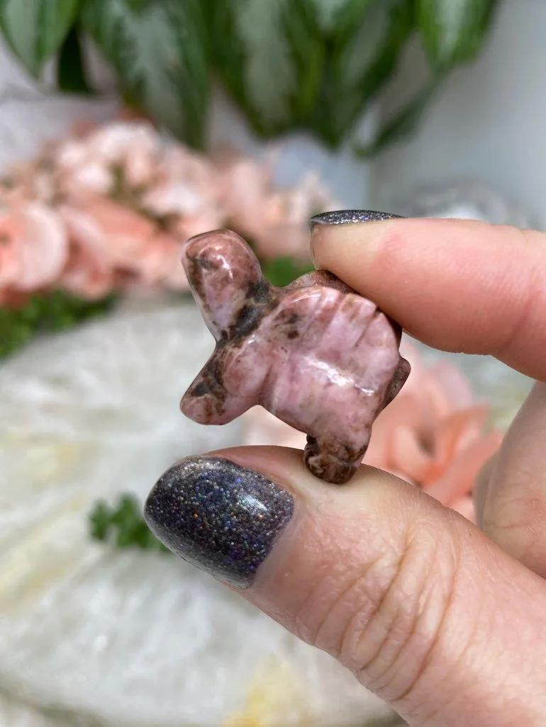Mini Crystal Dragons (or Dinos)