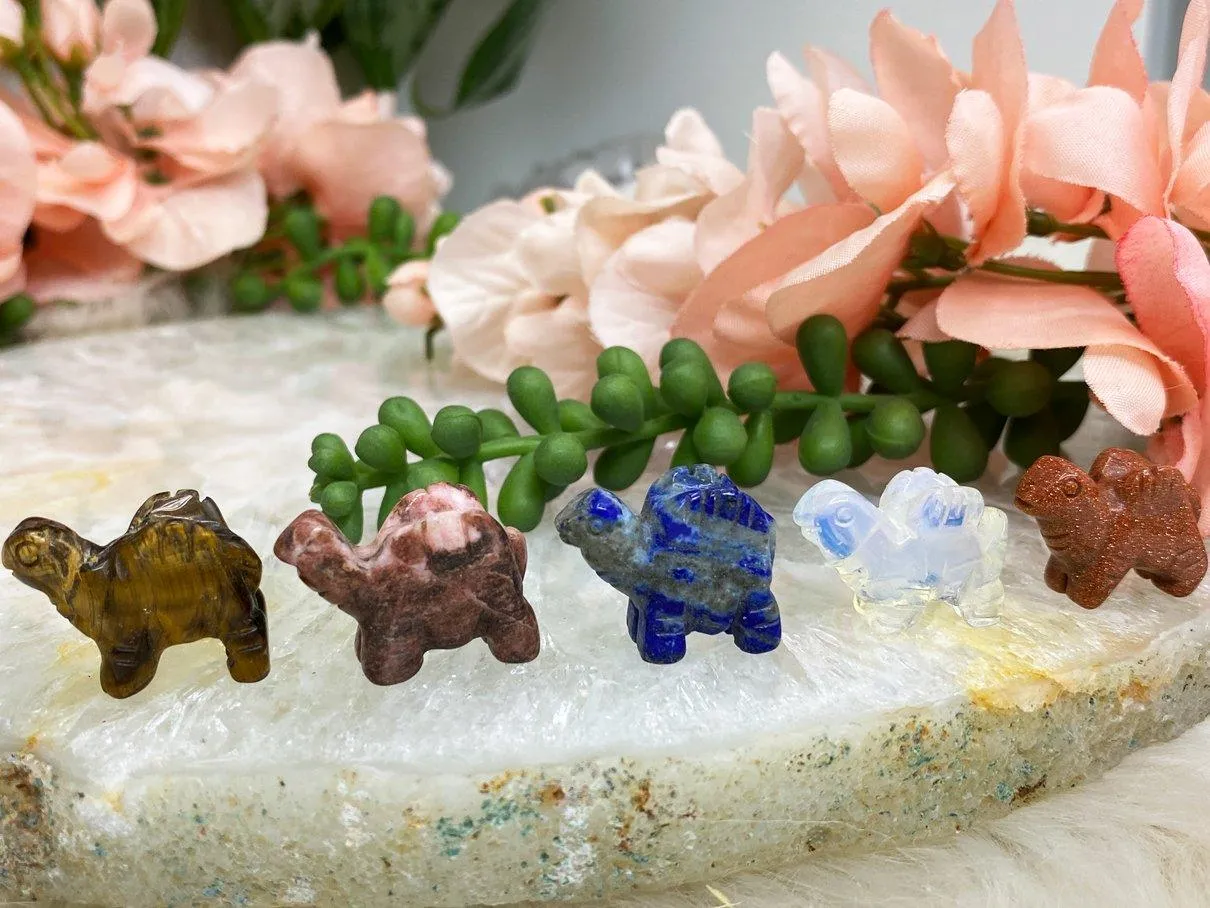 Mini Crystal Dragons (or Dinos)