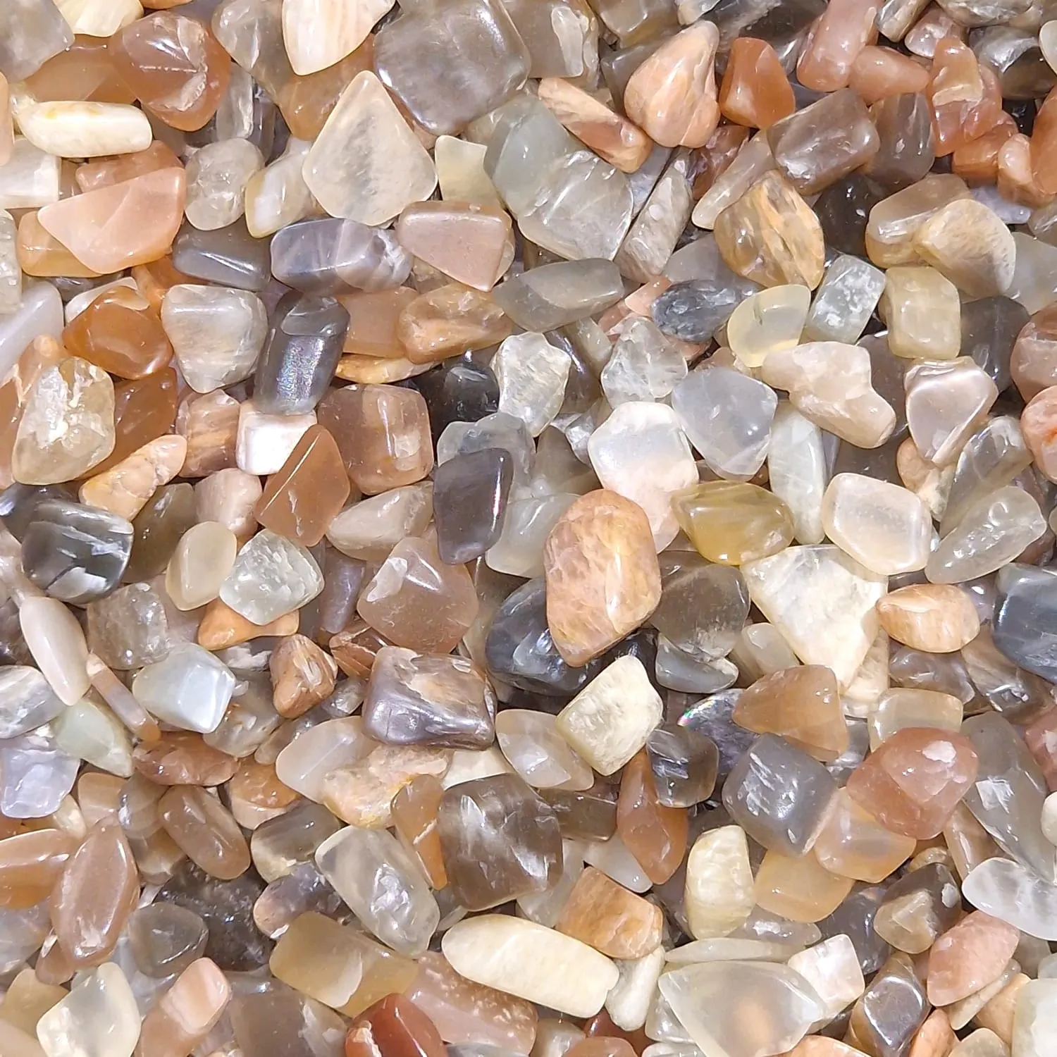 Moonstone Mini Gem Chips – Embrace your Inner Glow