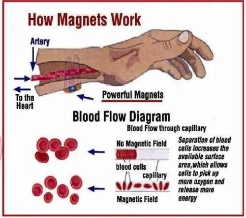 Stainless Steel Magnetic Bracelet With Germanium