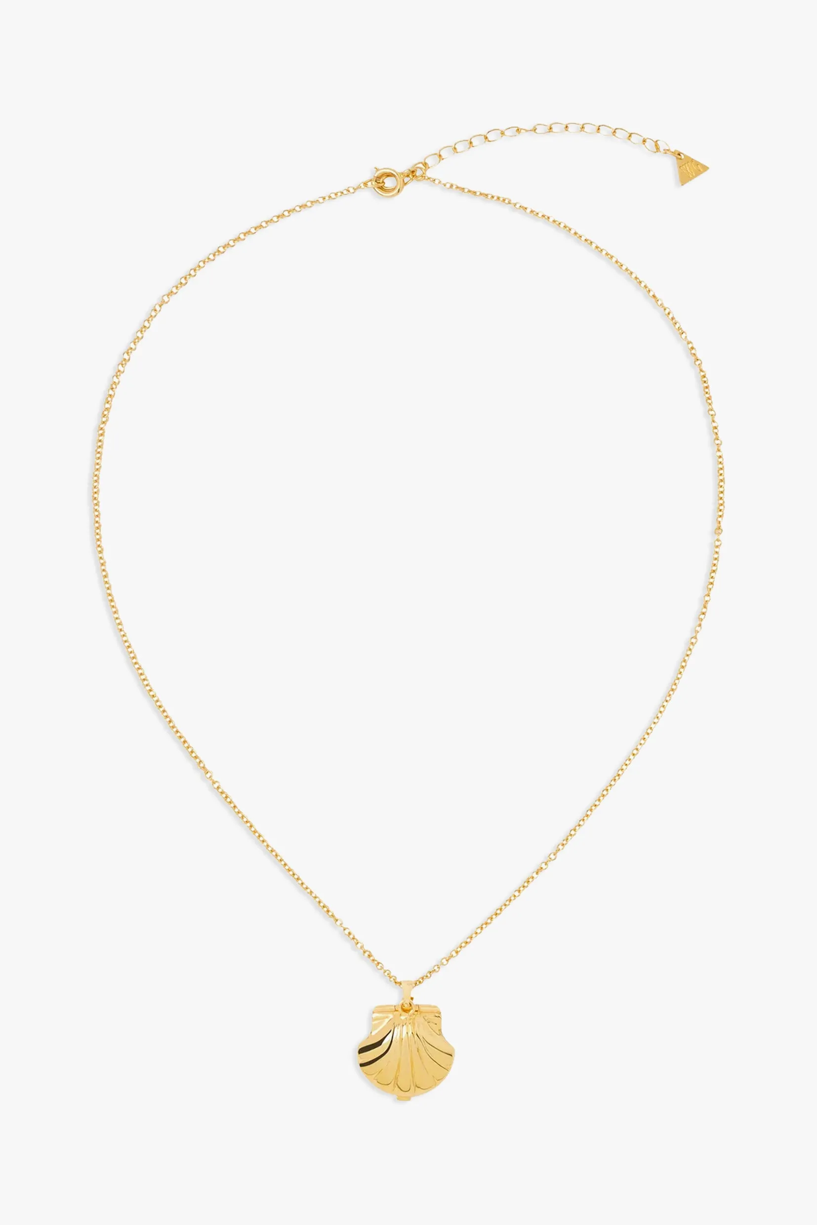Under the Sea Locket with Skinny Chain